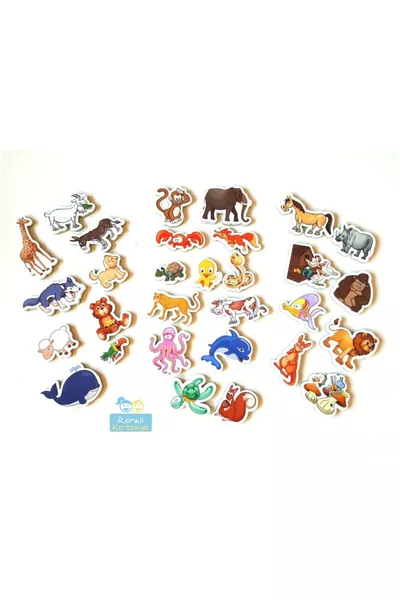 Diytoy, Animali Magnetici, Figure di Animali Magnetici, Smontabili, Animali con Magneti