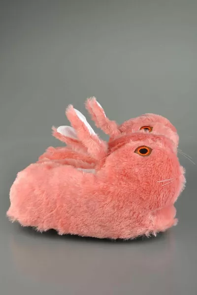 لطيف أرنب الرقم أفخم باندوف روز