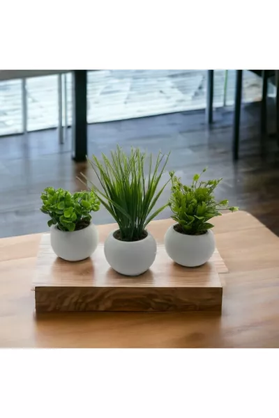 Мини бетонен саксия комплект от 3 с реален мъх, изкуствено цвете, подаръчна опаковка