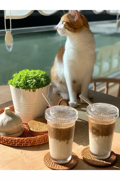 2 шт. стеклянных стакана с крышкой и трубочкой в стиле оригами | Стакан для кофе и подачи | Стакан для напитков