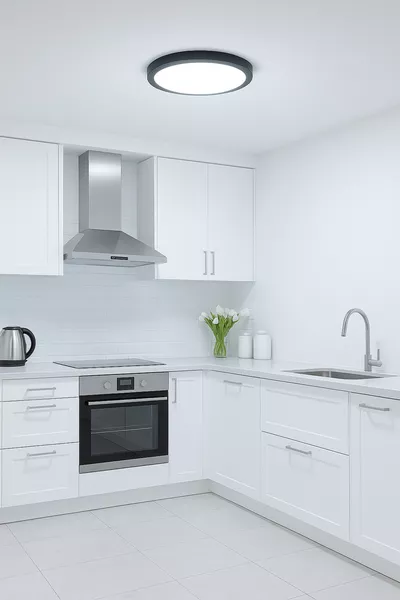 Lampada LED da Soffitto Moderna Nuova Luce Bianco Ghiaccio Corpo Nero in Metallo Lampadario per Soggiorno Cucina Sala da Pranzo