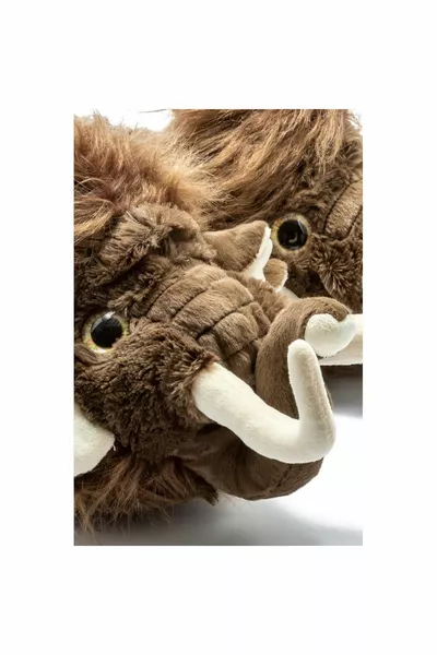 Twi?gy M Mammoth Brown? Männlicher Penduf