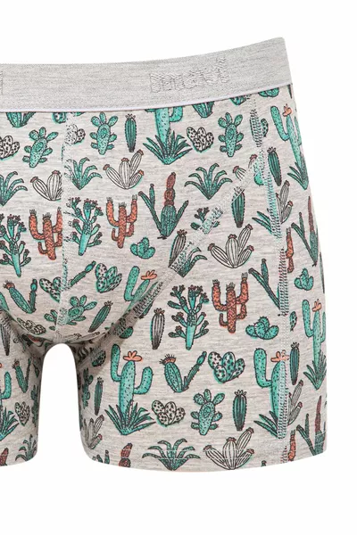 Boxer gris à motifs de cactus 