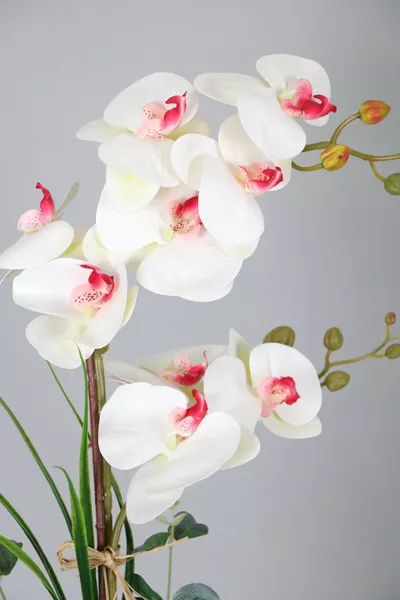 Мика в саксия 2 бр. Нисмо изкуствена мокра орхидея аранжировка бяло-розова  см