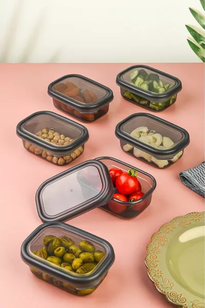 6-Piece Vista Multi-Purpose Storage Container Microwave-Freezer-Breakfast-Snack Etc. Transparent-Anthracite