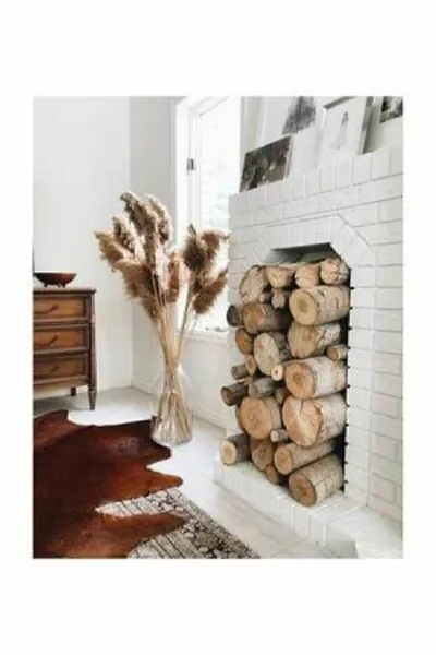 زهور قشية بامباس عدد  سم