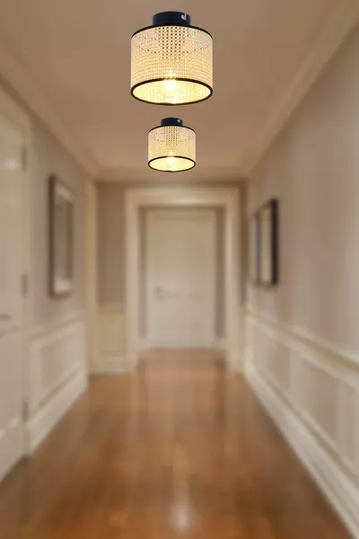 ثريا راطان فاخرة للمدخل، الصالون، المطبخ