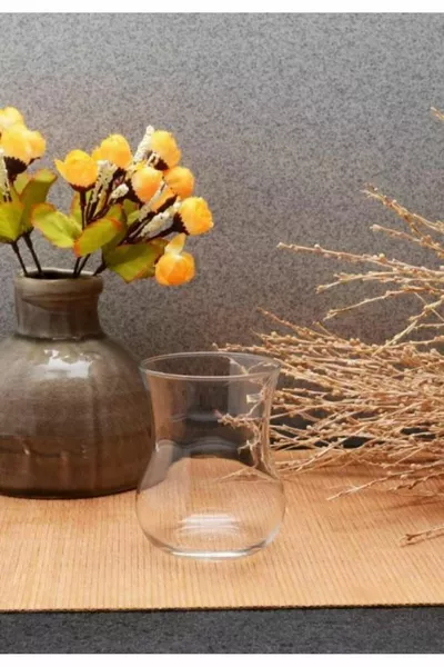  ساموفار كوب شاي 6 قطع  سم مكعب (حجم كبير)