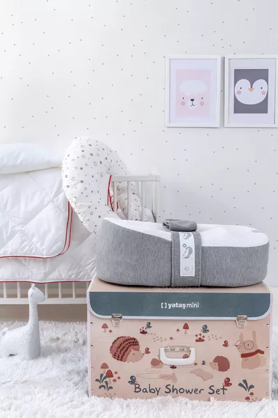 مجموعة حفلة المولود