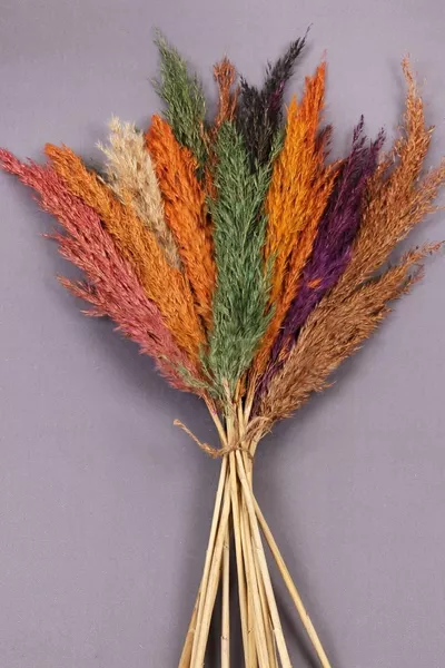 Сухи цветя, пампас, натурални цветни цветя,  броя,  см