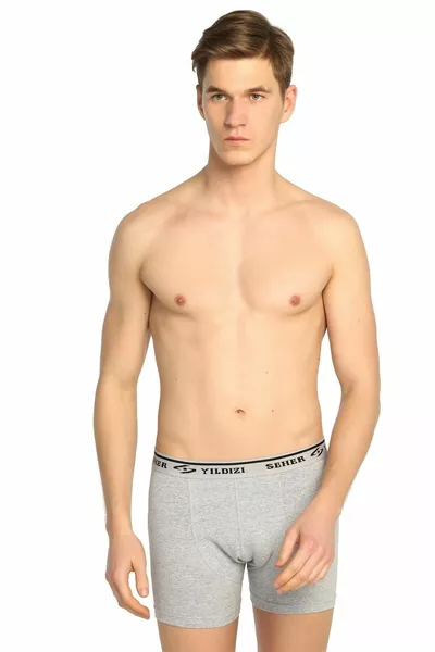 Grijze 6-delige lycra boxershort voor heren  