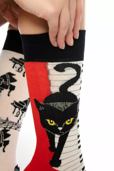 البيانو العزف القط الجوارب الملونة بتمشيط