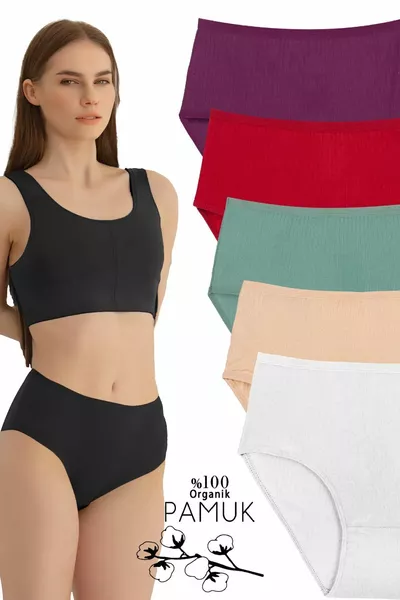 مجموعة 5 سراويل نسائية عالية الخصر مصنوعة من القطن %، ألوان: أرجواني، أخضر، قرمزي، أبيض، بيج 