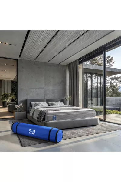 Sealy Buckingham Bed