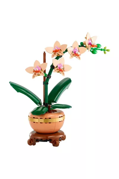 مجموعة صنع الزهور الزخرفية لأوركيد صغيرة من ® Botanicals (P)