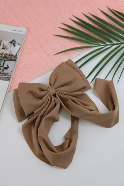 مشبك فيونكة طويل