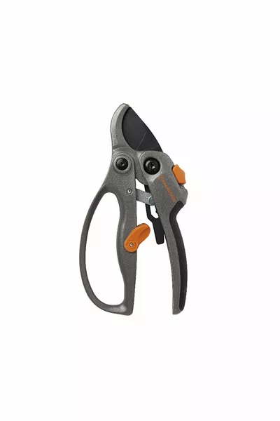 Pruning Shears