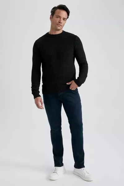 Standard Fit Normal Fit Ronde Hals Getextureerde Gebreide Trui wn