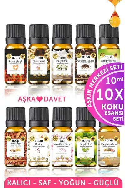 -Piece Essential Oil Set Incense Burner Oil Diffuser Essence Hobby Scent for Environment