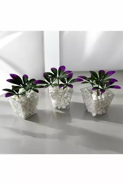 Специален дизайн DIY комплект от 3 кубични саксии с декоративни камъни, лилаво-зелени евкалиптови растения