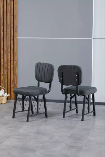 Hayat Series Kitchen Chair, Dining, Garden, Cafe, Modern Chair 2 Pieces - Anthracite