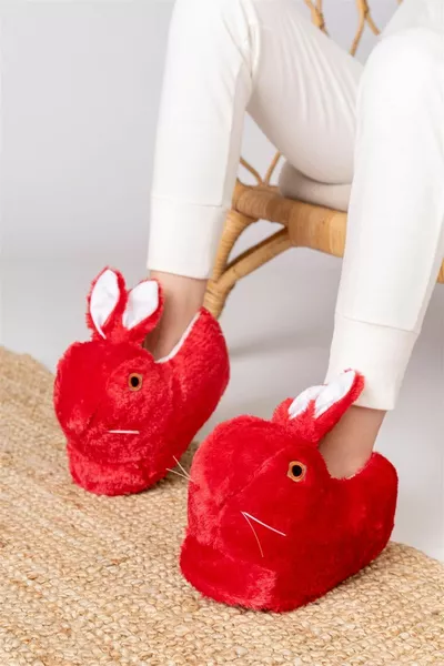 أرنب الرقم القطيفة باندوف المنزل باندوفو