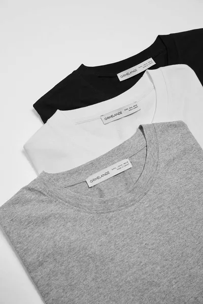 Cultivated Men's 3-Piece Thick Textured Regular % Organic Cotton Multicolor T-shirt