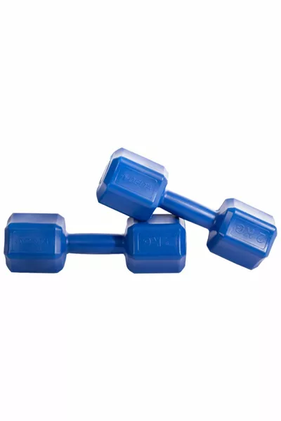 2 x 2 Kg 2 Kg x 2 Pieces Angular Blue Plastic Dumbbell Weight Set Dumbbell Set Single Size Blue Plastic