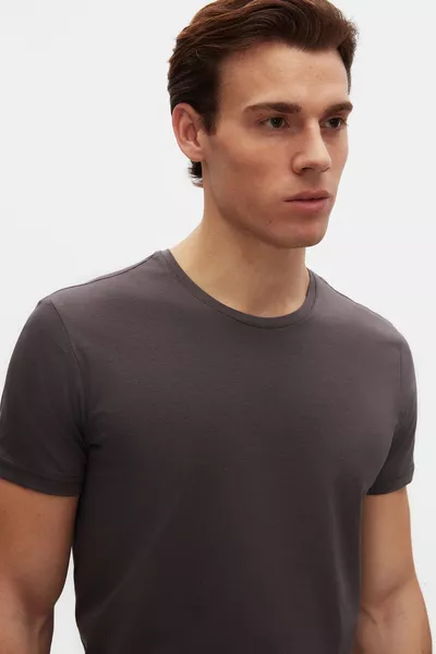 Ds Damat Slim Fit Antrasit Bisiklet Yaka % Pamuklu Nefes Alabilen T-Shirt