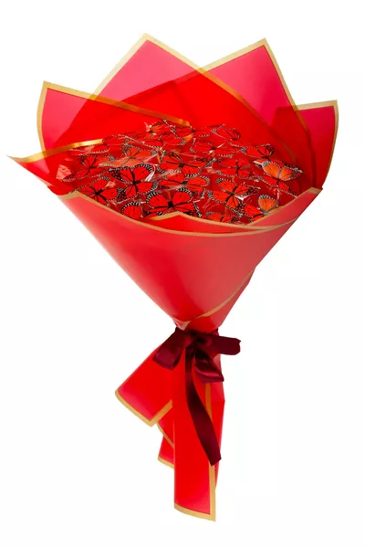 Bouquet de papillons rouges avec LED, cadeau décoratif pour maman, pour l’être cher ou un ami