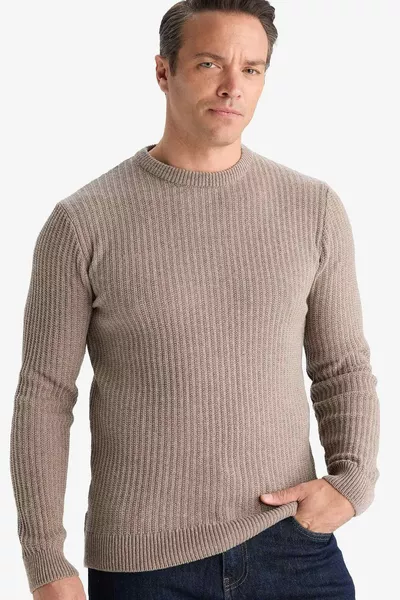 New Year Standard Fit Crew Neck Basic Textured Knit Sweater WN