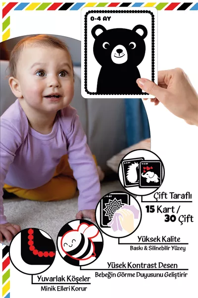 Mein Baby, was sieht es? Meine ersten Intelligenzkarten Flash-Karte Hochkontrast KARTE MOND