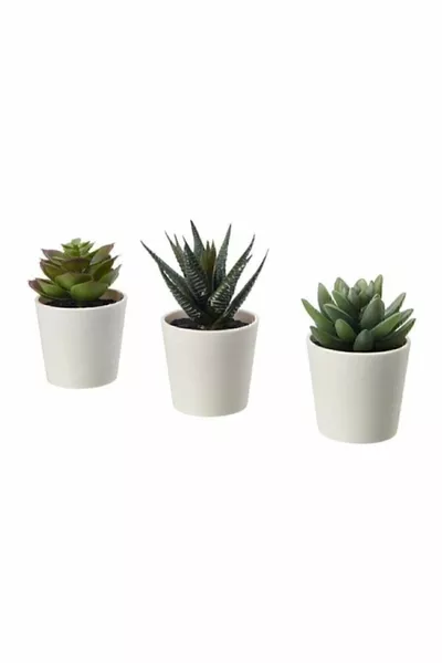 Fejka Cactus 3-Piece Set 6 cm Artificial Plant Flower Potted Cactus