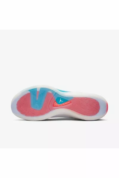 Jordan  Sneaker Heren Schoenen 