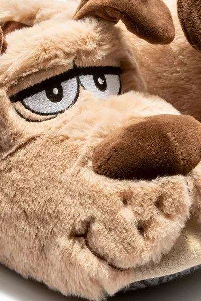 Tintin Mâle Animal Panduf Brown /