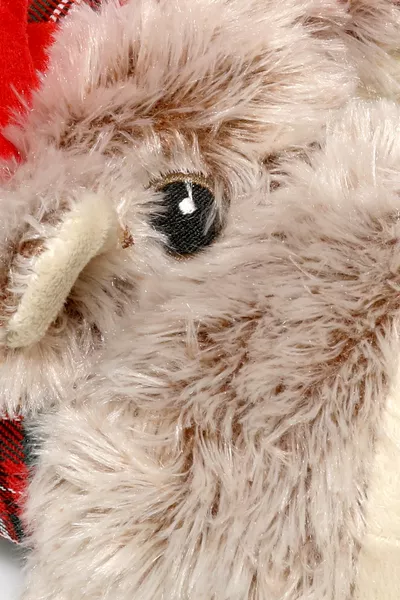 غزال ذكر باندوف رمادي /