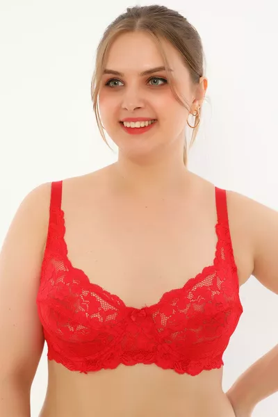 Unpadded Lace Shaping Bra with Underwire 