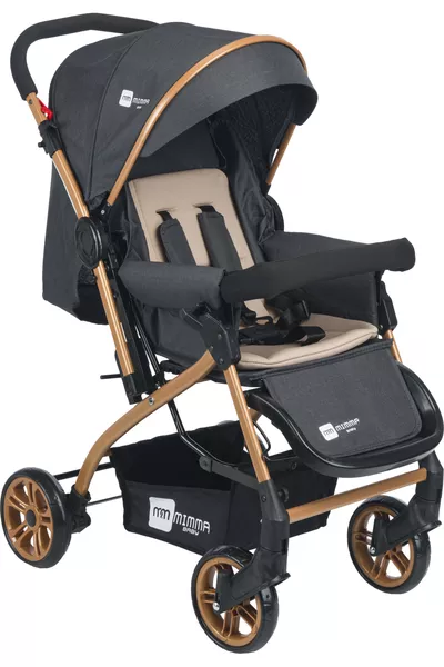 ENERGIE SCHWARZ-ANTRAZIT ZWEIRICHTUNGS-KINDERWAGEN