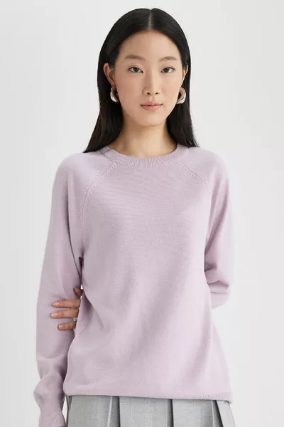 Regular Fit Soft-Textured Crew Neck Raglan Sleeve Basic Plain Knit Sweater wn