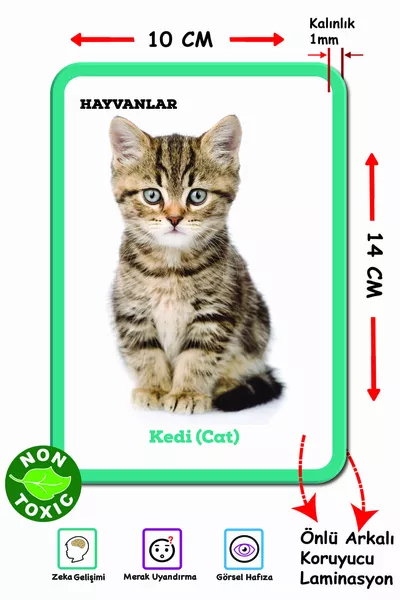 بطاقات الذكاء الأولى لطفلي، مجموعة تعليمية للكلمتين الأوليين