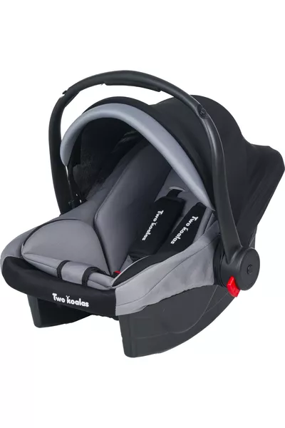 Luxuriöser Kinderwagen mit Polsterung, Tragetasche für Babys, Kinderwagen