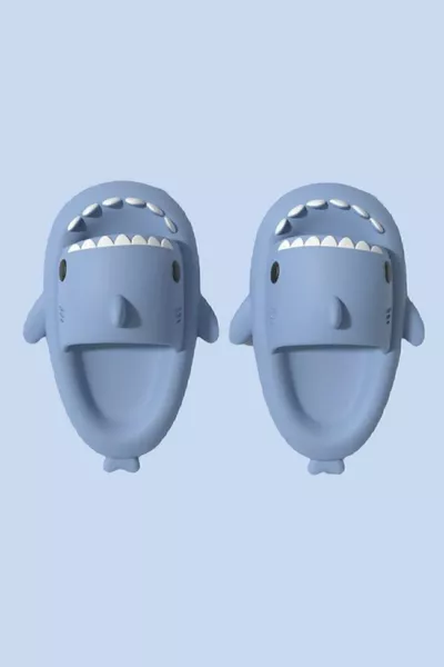 صندل قرش هيبنوتيكو