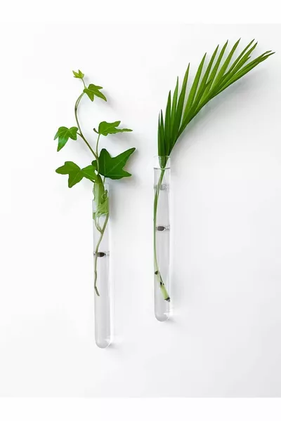 Магнитная декоративная стеклянная ваза для укоренения растений, минимальная мини-ваза для холодильника, набор из 2 штук,  см