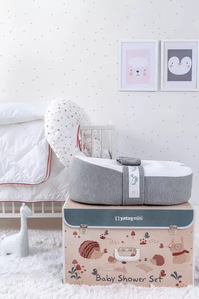 مجموعة حفلة استقبال المولود الجديد