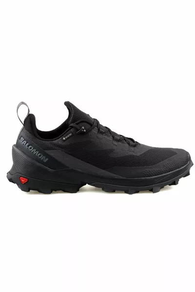 Cross Over 2 Gtx Men's Outdoor Shoes  Black
