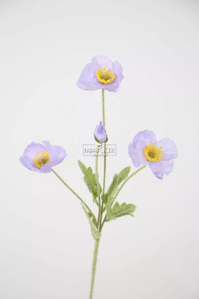 Künstliche Blume 4er-Stiel Mohnzweig  cm Lila