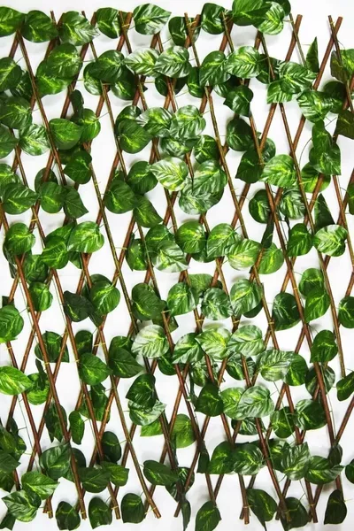 Изкуствена катерлива ограда  см – Разтегателна дървена акордеонна ограда – Декоративна градинска ограда