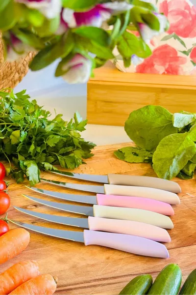 6-Piece Colorful Serrated Fruit and Vegetable Knife Set – Ergonomic Handle, Stainless Steel