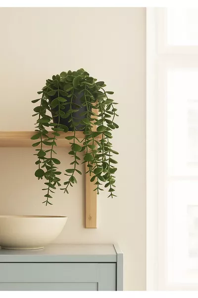 نبات صناعي من الأوكالبتوس المتدلي في أصيص