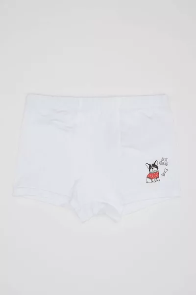 Boys' Patterned 3-Pack Boxer SM